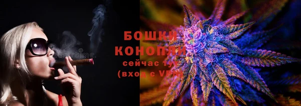 гидра Ладушкин