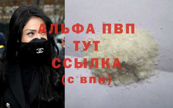 гидра Ладушкин